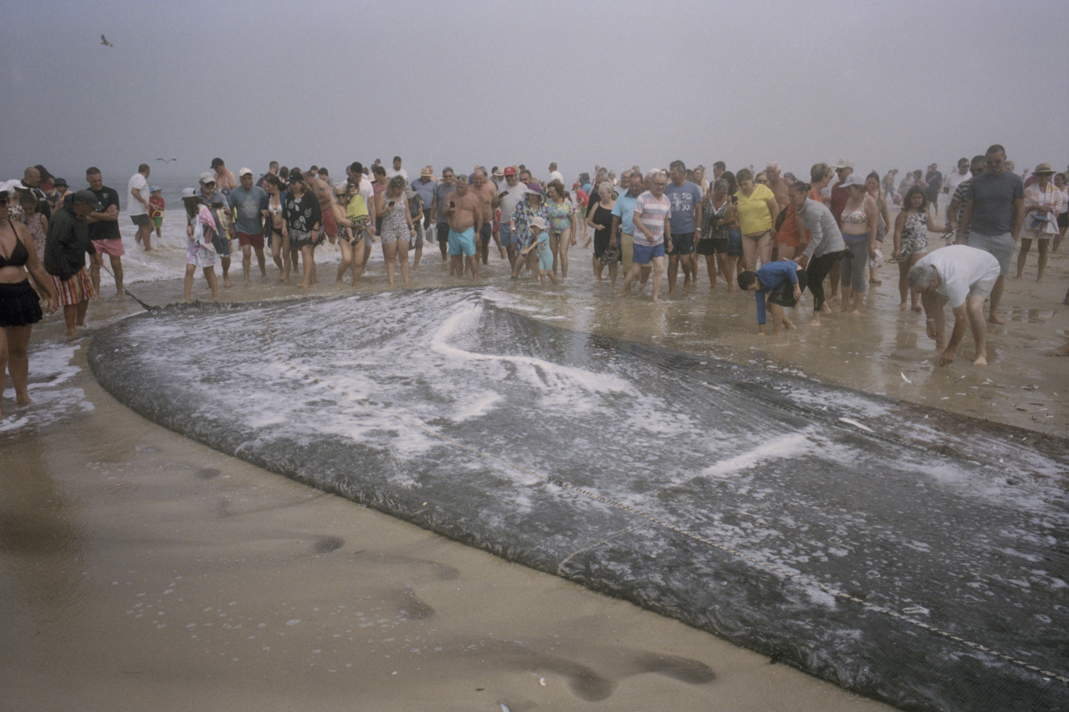 23rioLis7705.jpg