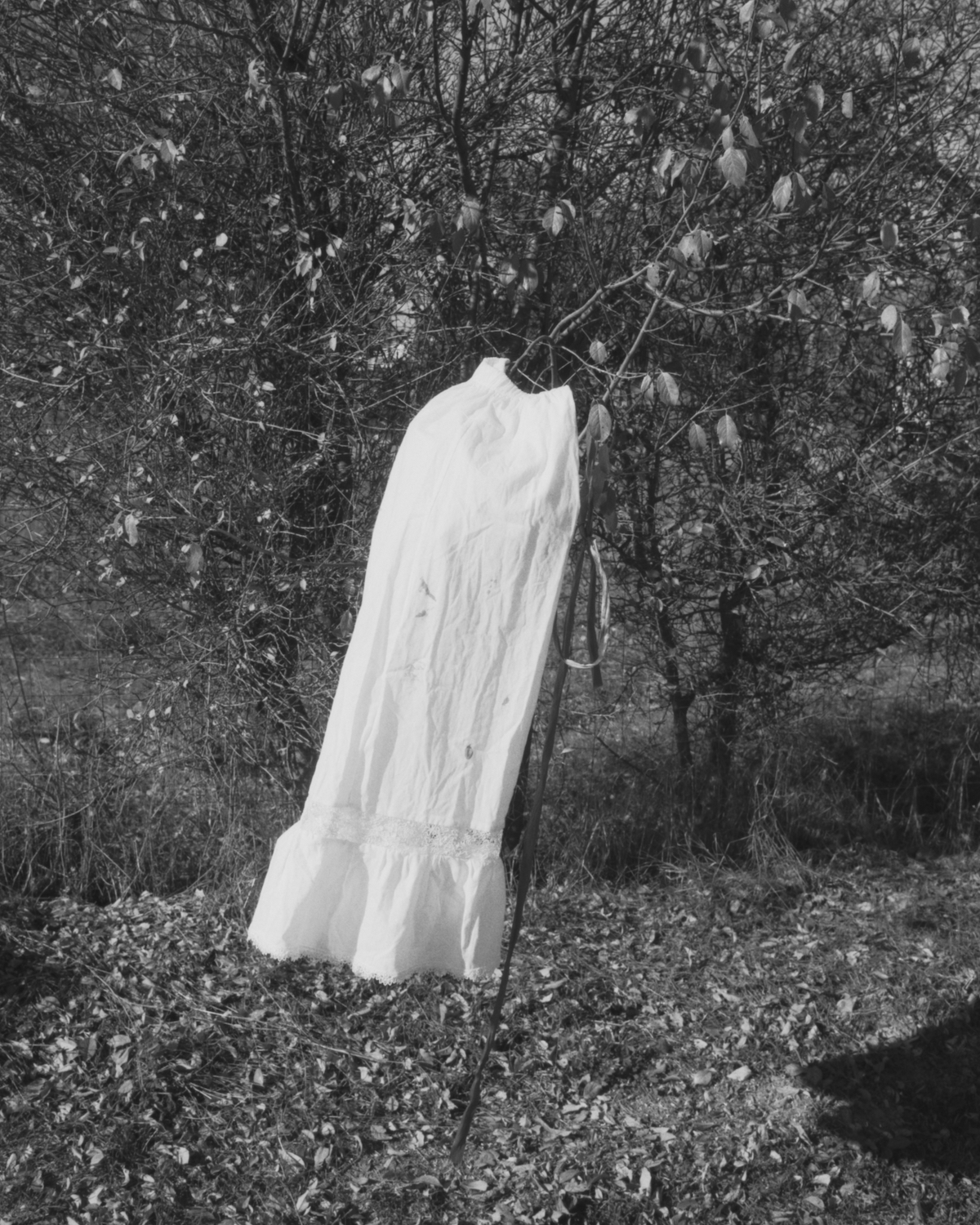 10_2411070121.jpg