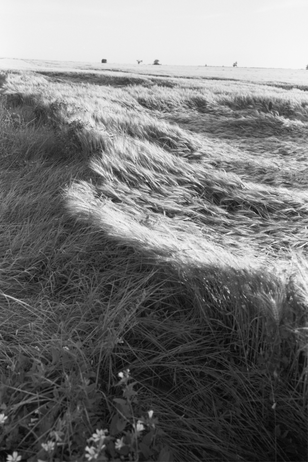 12_06260206.jpg