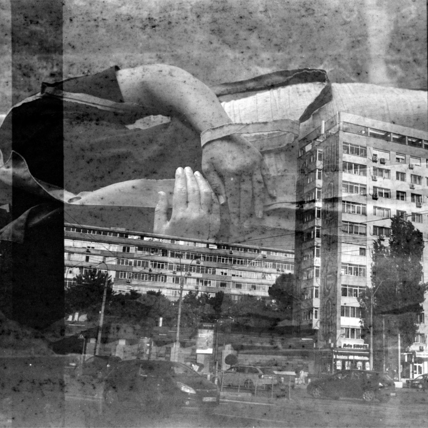 2022-08-04-0002.jpg