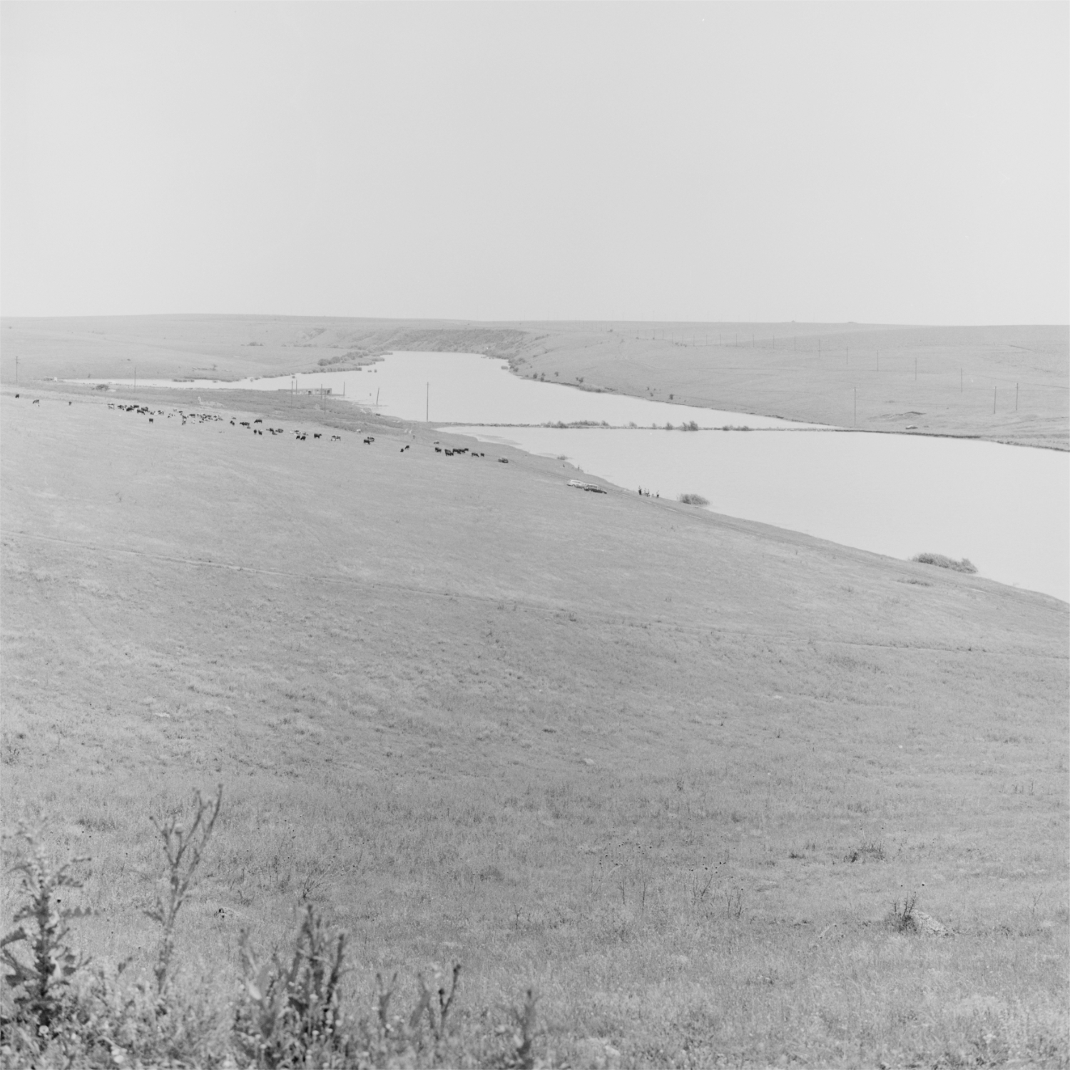 The Road That Runs From Aqmescit 