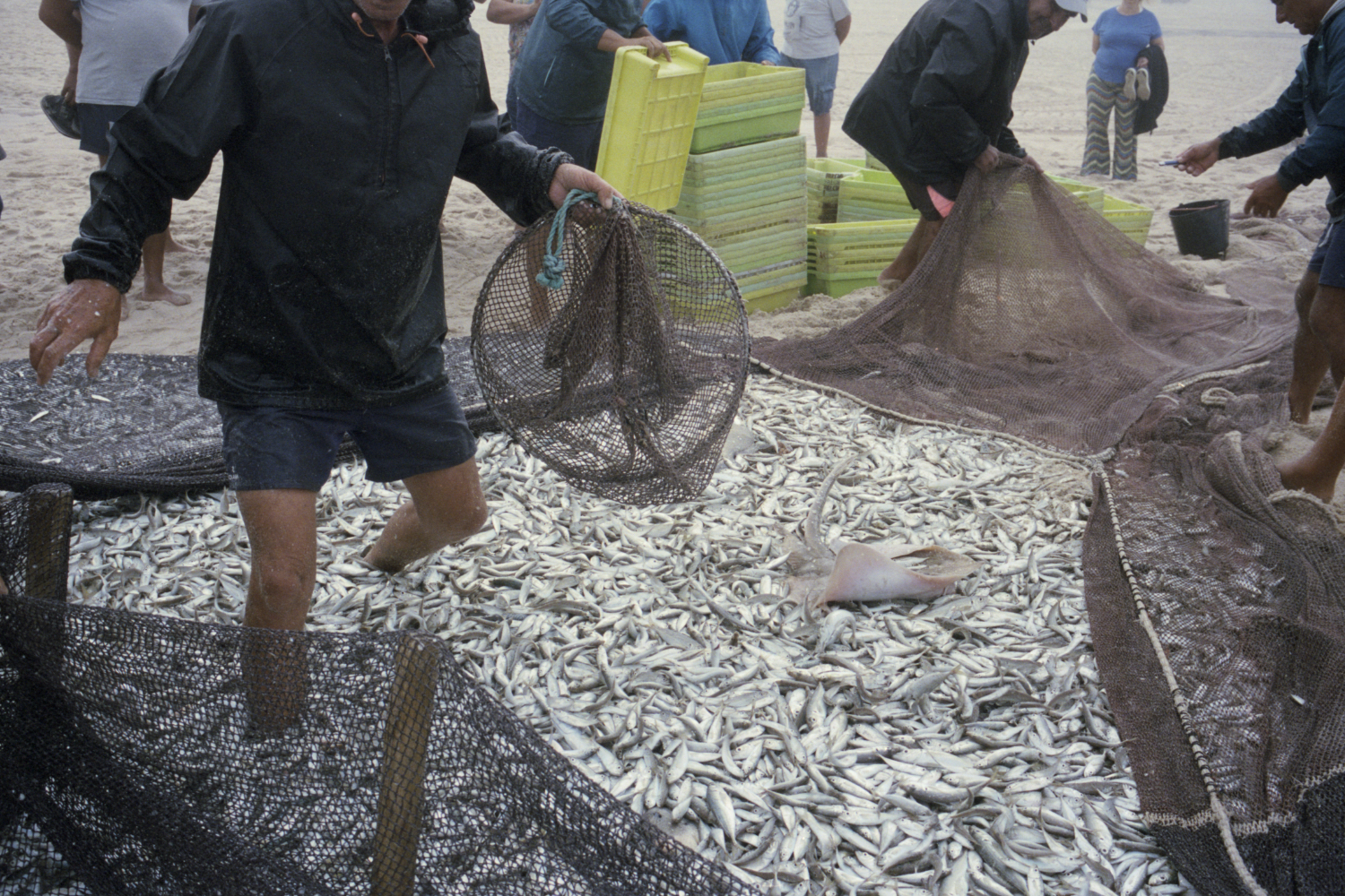 23rioLis7610.jpg